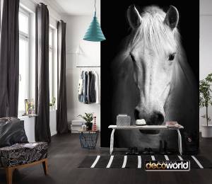 Ταπετσαρία τοίχου επιθυμητών διαστάσεων λευκό άλογο με μάυρο 02128Q