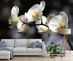 Ταπετσαρία τοίχου επιθυμητών διαστάσεων φλοράλ λευκά λουλούδια 07965Q