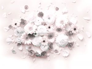 Ταπετσαρία τοίχου επιθυμητών διαστάσεων φλοράλ με λευκά λουλούδια 07996Q