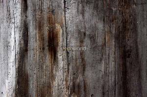Ταπετσαρία τοίχου επιθυμητών διαστάσεων με καφέ γκρί ξύλο 12766