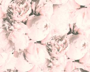 Ταπετσαρία τοίχου με Τριαντάφυλλα Κρεμ-Ροζ FL373982D