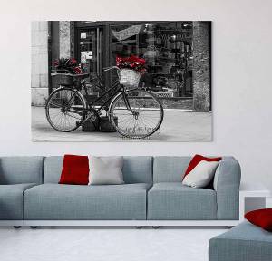 Πίνακας σε καμβά ποδήλατο με λουλούδια KNV283