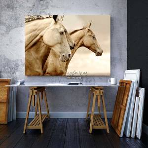 Πίνακας σε καμβά με άλογα KNV285
