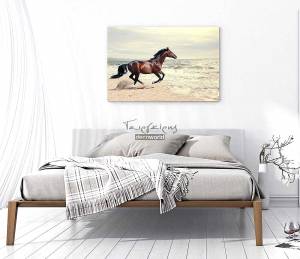 Πίνακας σε καμβά θάλασσα με άλογο KNV286