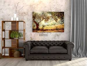 Πίνακας σε καμβά με δέντρο ελιά KNV302