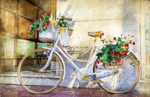 Πίνακας σε καμβά ποδήλατο με λουλούδια KNV381