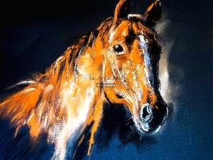 Πίνακας σε καμβά με άλογο KNV384