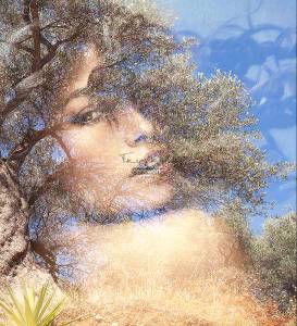 Πίνακας σε κάμβα γυναίκα με δέντρο KNV385