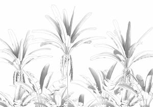 Φωτοταπετσαρία τοίχου με ασπρόμαυρα λουλούδια έτοιμων διαστάσεων R4-051 (4.00M x 280Y)