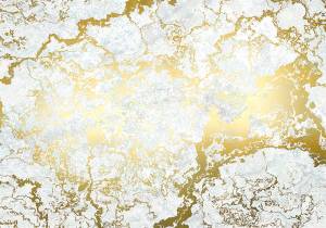 Φωτοταπετσαρία τοίχου χρυσή τεχνοτροπία έτοιμων διαστάσεων RSX6-038 (3.00M x 280Y)