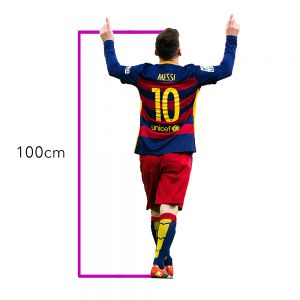 Αυτοκόλλητο Τοίχου Messi SP852